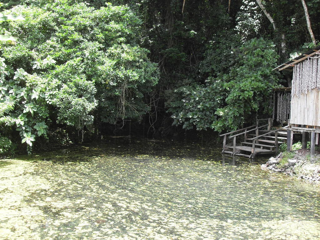 Reserva Ecologica Nanciyaga Катемако Екстериор снимка